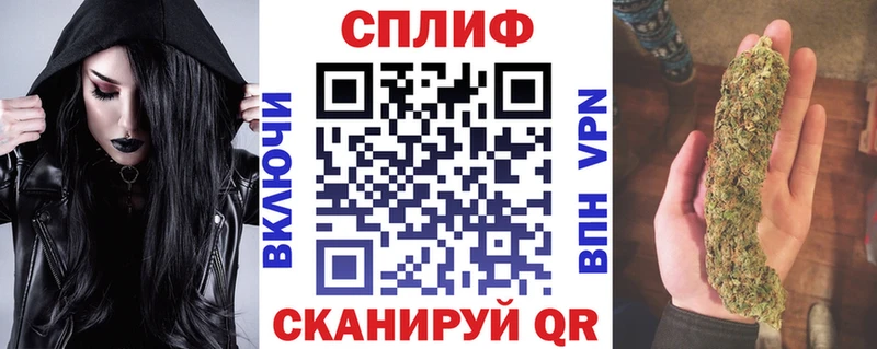 Магазины продажи наркотиков Пятигорск Альфа ПВП COCAIN Меф мяу мяу ГАШИШ