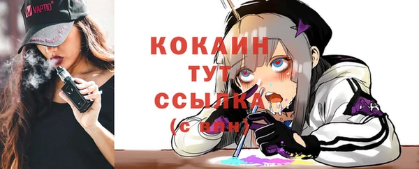 тгк Верея