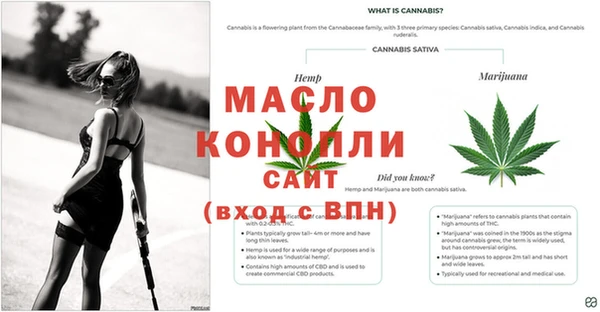 тгк Верея
