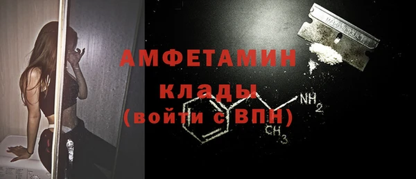 гидра Верхний Тагил