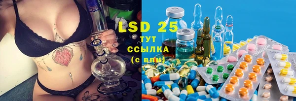 гидра Верхний Тагил