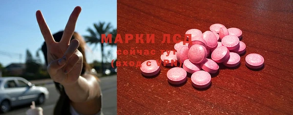 гидра Верхний Тагил