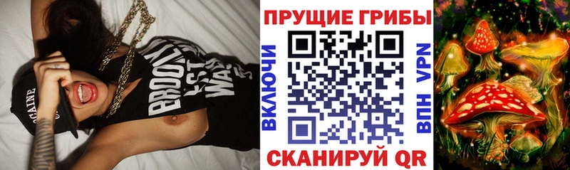 Псилоцибиновые грибы мицелий  Пятигорск 